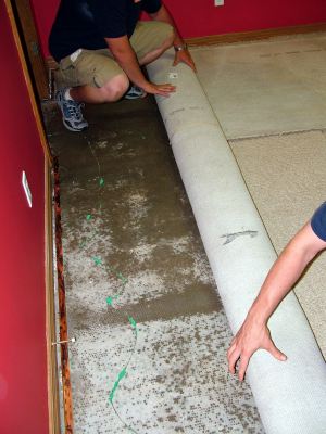 Lower Manhattan water damaged carpet being removed by two men.