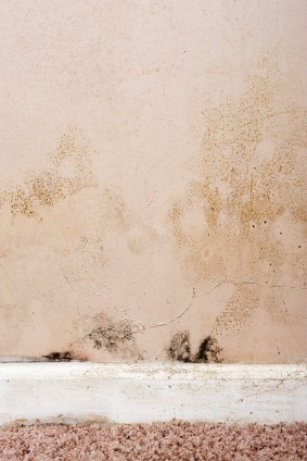 Mold removal in Midtown East, NY by Certified Green Team